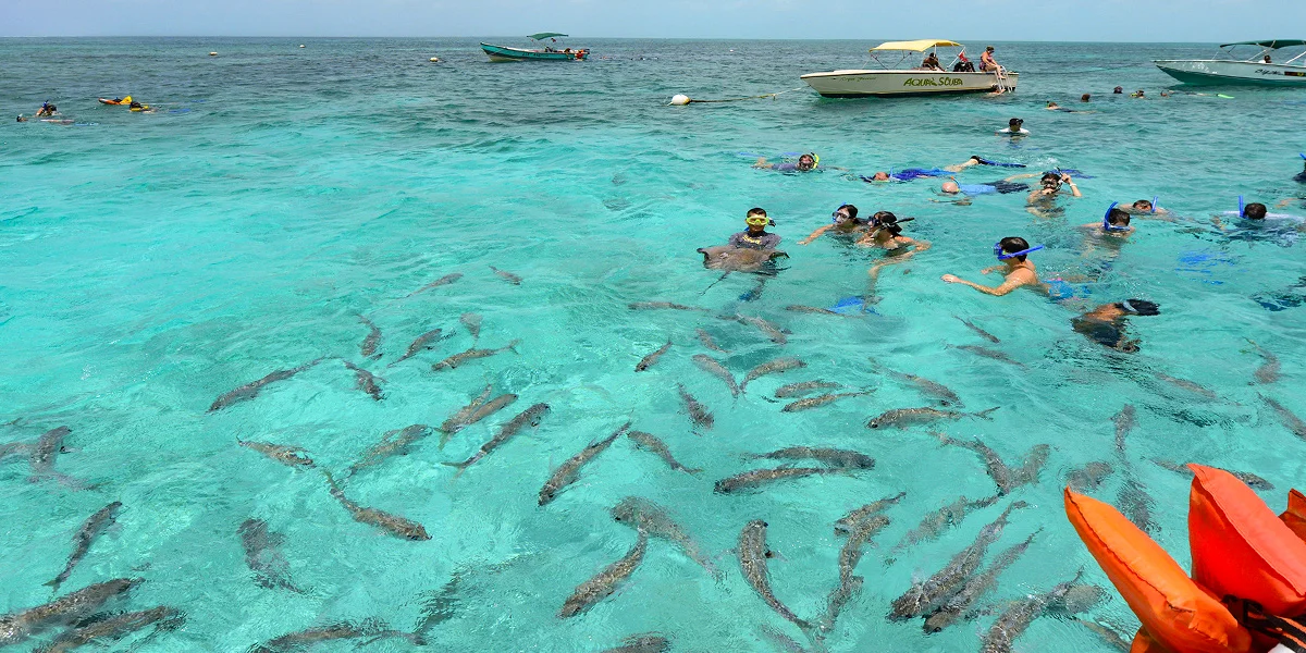Hol Chan reef