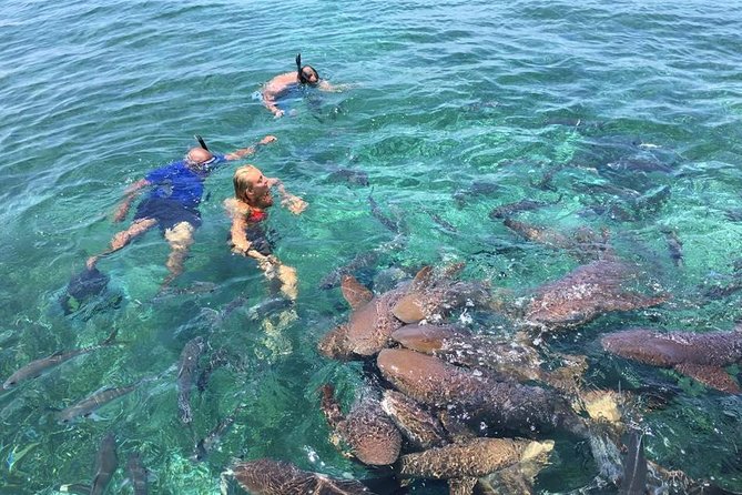 Private Reef Expeditions