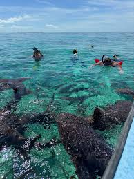 Hol Chan snorkeling