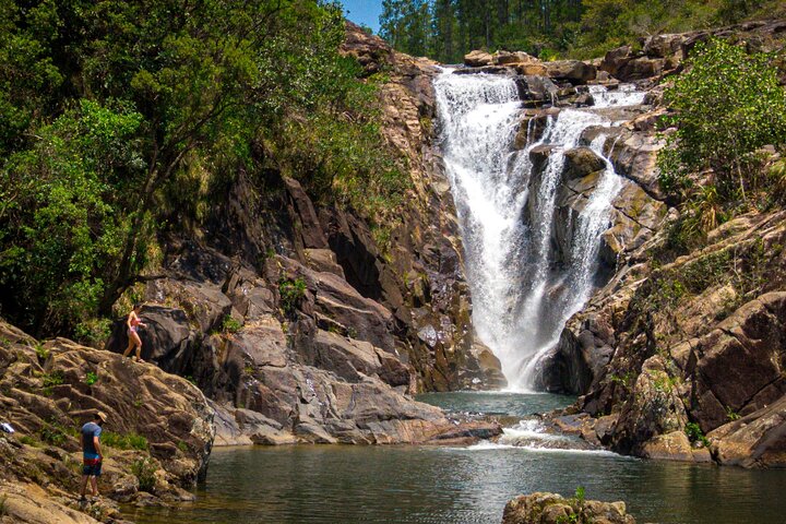 Jungle & Mayan Immersions